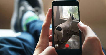 Best Video Editing Apps for iPhone