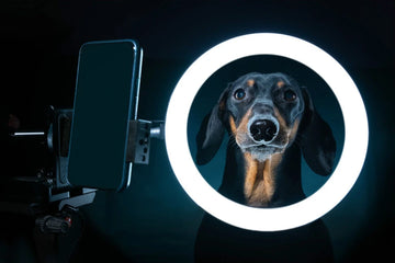 Ring Lights with Stand