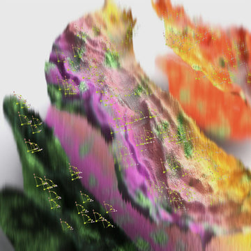 STRADVISION Shatters Records with 3 Million Units Produced in 2024 – A Milestone Year You Won’t Believe!